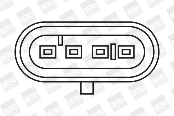 BorgWarner (BERU) Zündspule