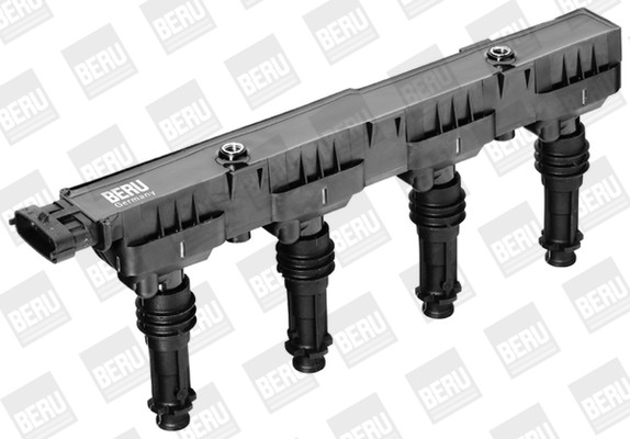 BorgWarner (BERU) Zündspule