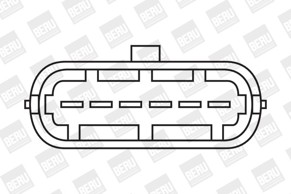 BorgWarner (BERU) Zündspule