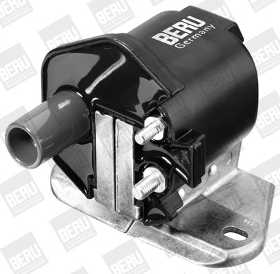 BorgWarner (BERU) Zündspule