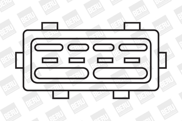 BorgWarner (BERU) Zündspule