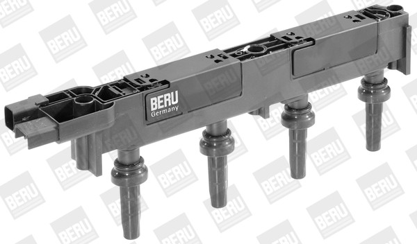 BorgWarner (BERU) Zündspule