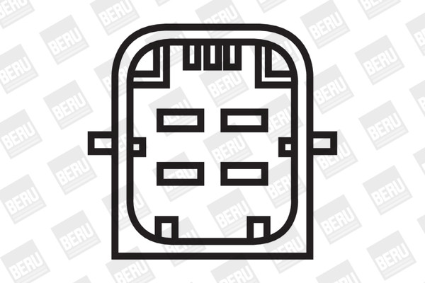 BorgWarner (BERU) Zündspule