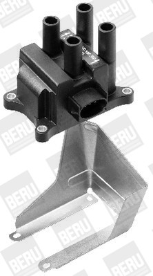 BorgWarner (BERU) Zündspule