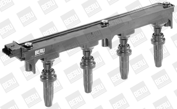 BorgWarner (BERU) Zündspule