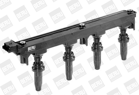 BorgWarner (BERU) Zündspule