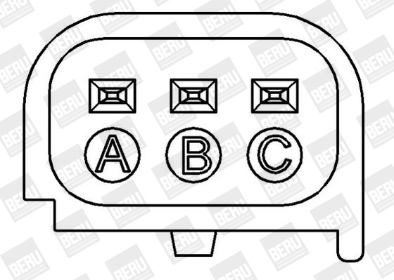 BorgWarner (BERU) Zündspule