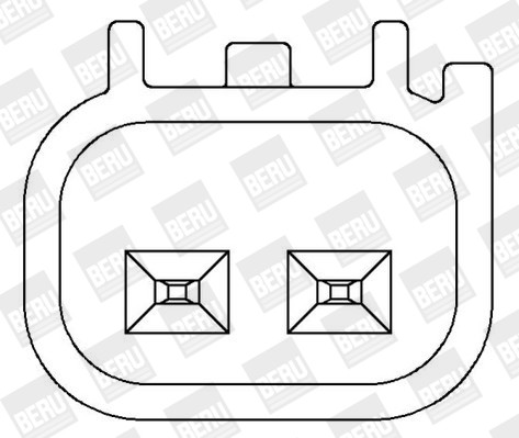 BorgWarner (BERU) Zündspule