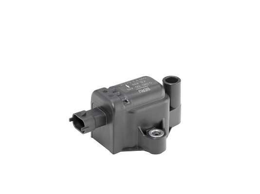 BorgWarner (BERU) Zündspule