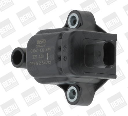 BorgWarner (BERU) Zündspule