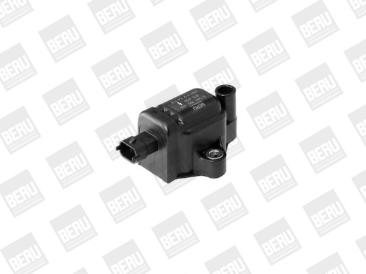BorgWarner (BERU) Zündspule