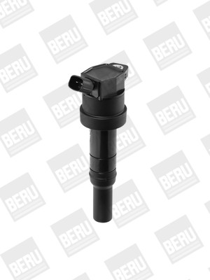 BorgWarner (BERU) Zündspule BorgWarner (BERU) Zündspule