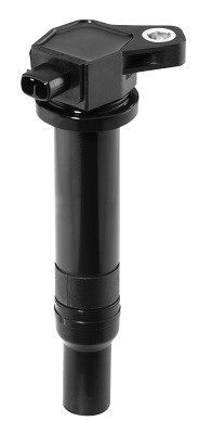 BorgWarner (BERU) Zündspule