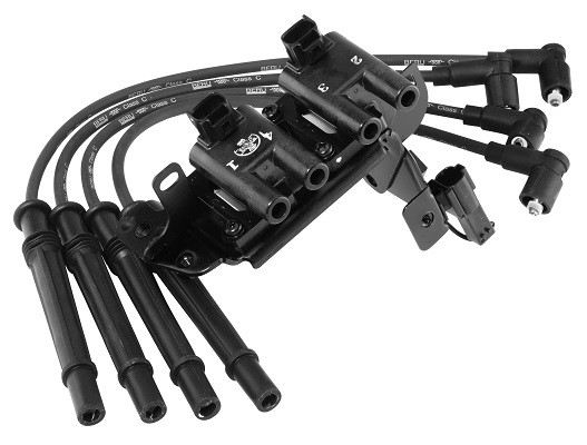 BorgWarner (BERU) Zündspule