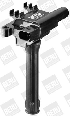 BorgWarner (BERU) Zündspule BorgWarner (BERU) Zündspule