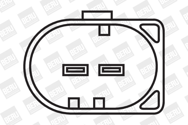 BorgWarner (BERU) Zündspule BorgWarner (BERU) Zündspule