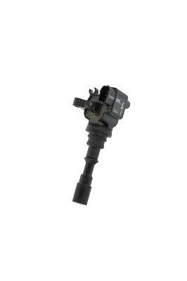 BorgWarner (BERU) Zündspule