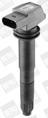 BorgWarner (BERU) Zündspule BorgWarner (BERU) Zündspule