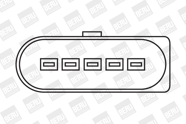 BorgWarner (BERU) Zündspule