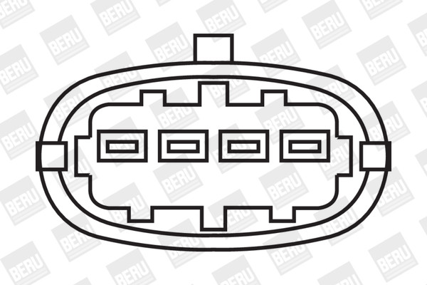 BorgWarner (BERU) Zündspule