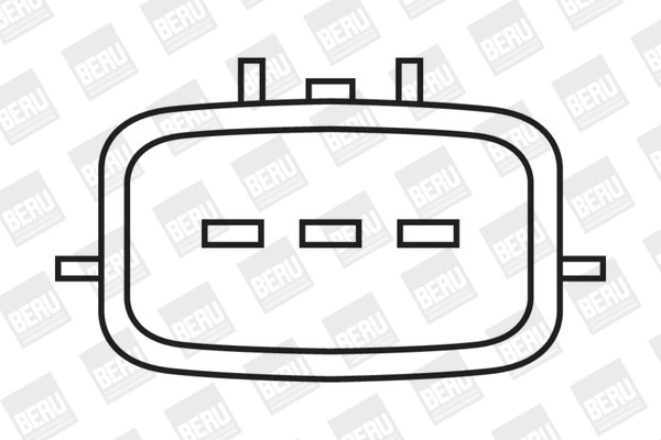 BorgWarner (BERU) Zündspule