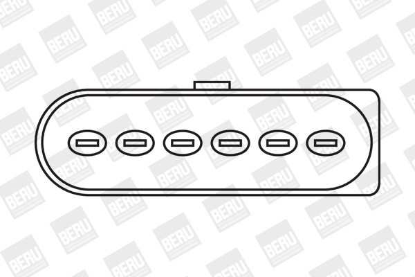 BorgWarner (BERU) Zündspule