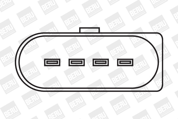 BorgWarner (BERU) Zündspule