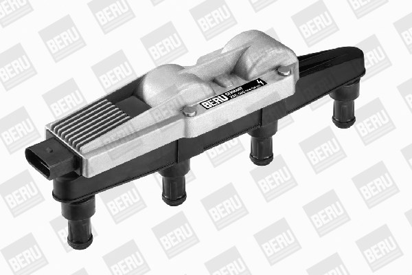 BorgWarner (BERU) Zündspule