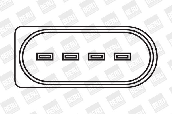 BorgWarner (BERU) Zündspule BorgWarner (BERU) Zündspule