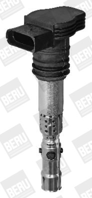 BorgWarner (BERU) Zündspule