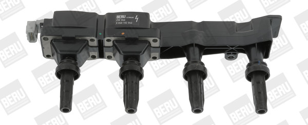 BorgWarner (BERU) Zündspule