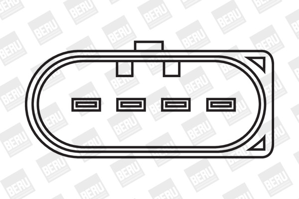 BorgWarner (BERU) Zündspule