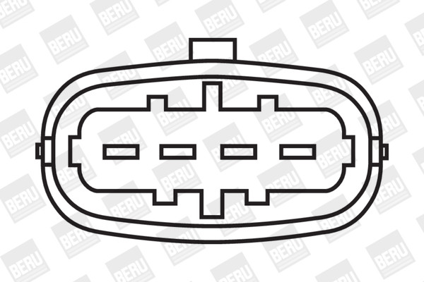 BorgWarner (BERU) Zündspule