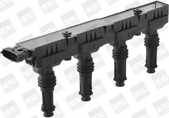 BorgWarner (BERU) Zündspule