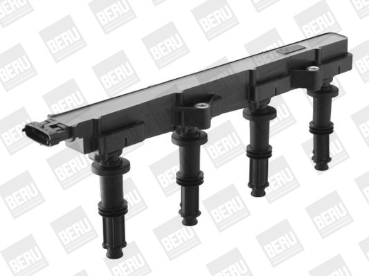 BorgWarner (BERU) Zündspule