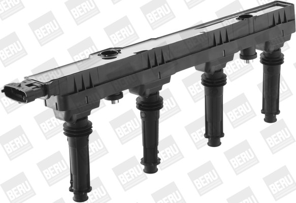 BorgWarner (BERU) Zündspule