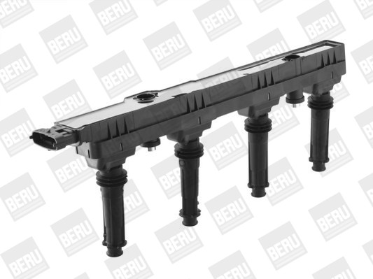 BorgWarner (BERU) Zündspule