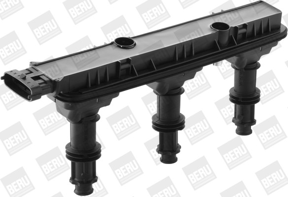 BorgWarner (BERU) Zündspule