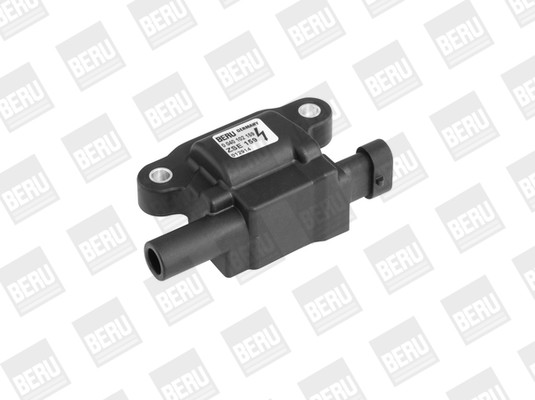 BorgWarner (BERU) Zündspule
