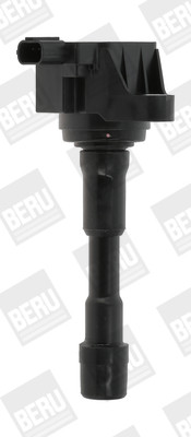 BorgWarner (BERU) Zündspule