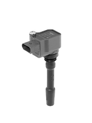 BorgWarner (BERU) Zündspule