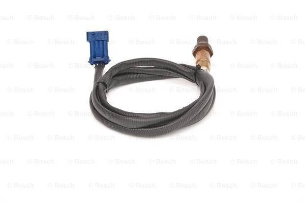 BOSCH Lambdasonde