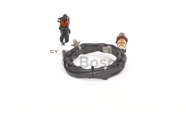 BOSCH Lambdasonde