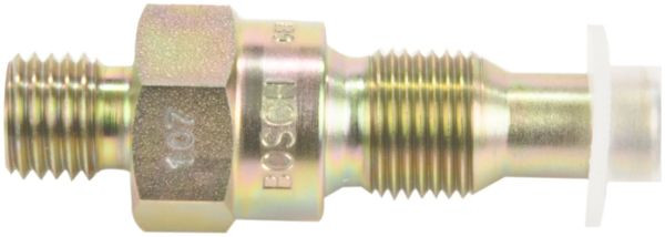 BOSCH Einspritzventil