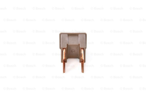 BOSCH Sicherung
