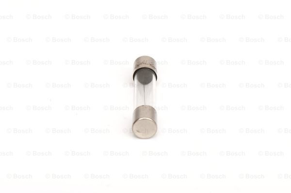 BOSCH Sicherung