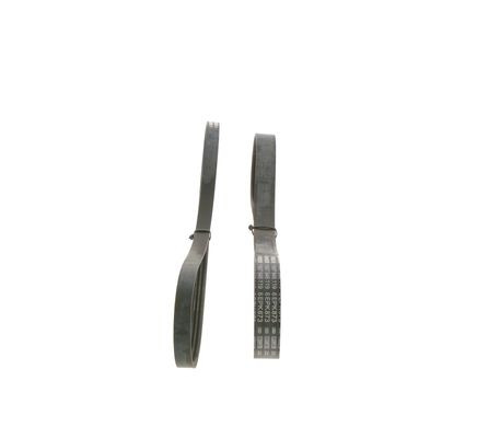 BOSCH Keilrippenriemensatz