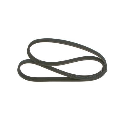 BOSCH Keilrippenriemen