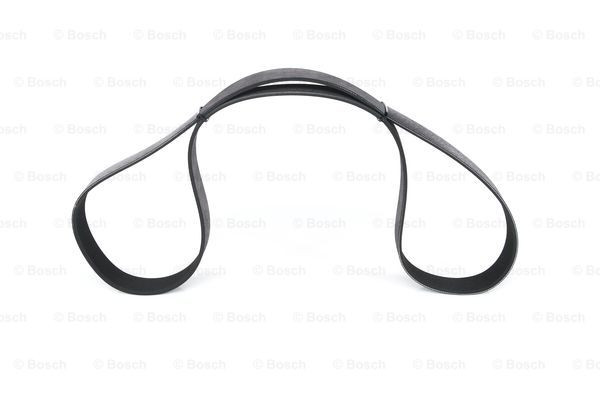 BOSCH Keilrippenriemen