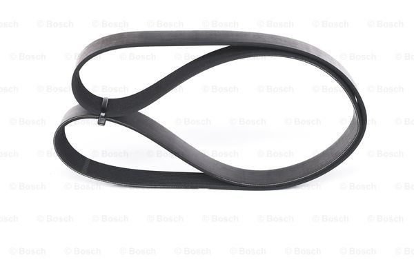 BOSCH Keilrippenriemen